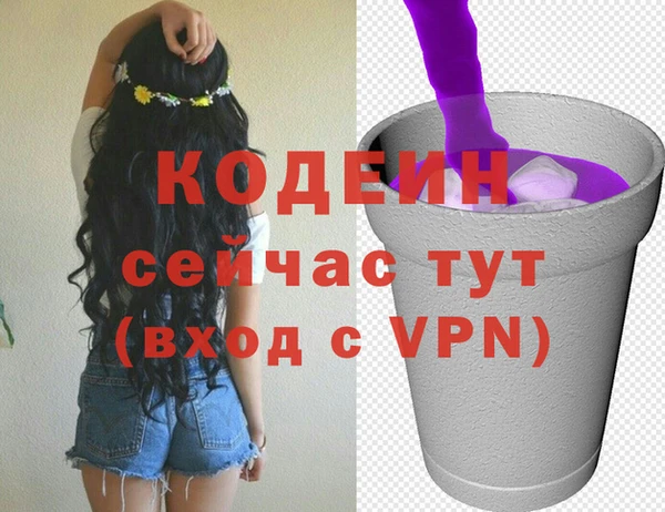 дмт Богданович